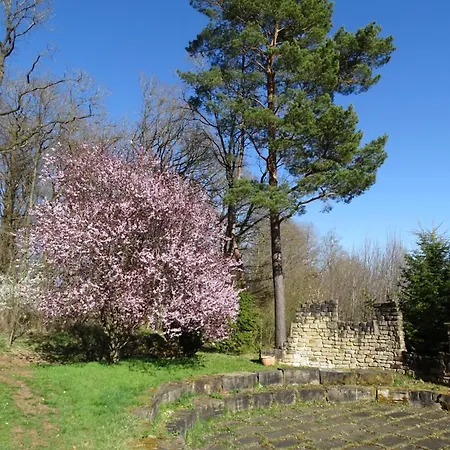 Stylisches Eifelgruss Mit Lage, Direkt Am Wald Und Einzigartigem Naturgarten *