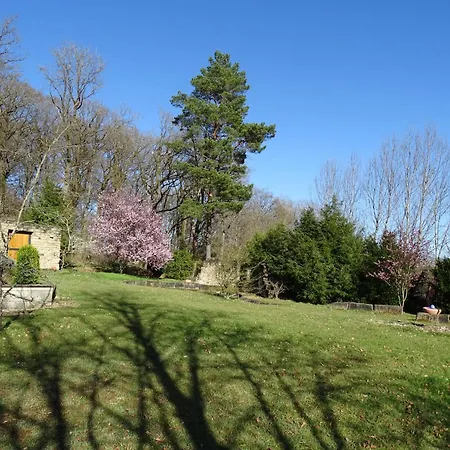 Stylisches Eifelgruss Mit Lage, Direkt Am Wald Und Einzigartigem Naturgarten