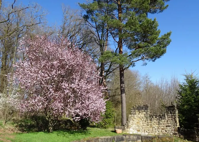 Eifelgruss, In Schoener Waldrandlage Und Tollem Naturgarten *